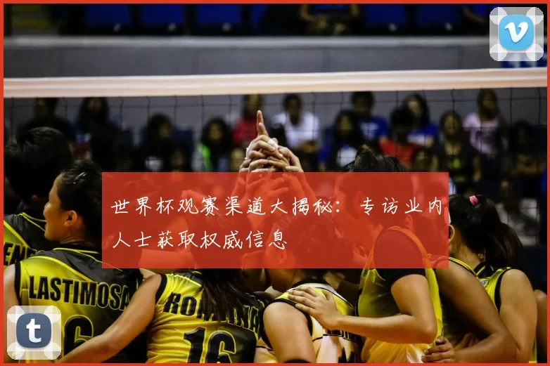 世界杯观赛渠道大揭秘：专访业内人士获取权威信息