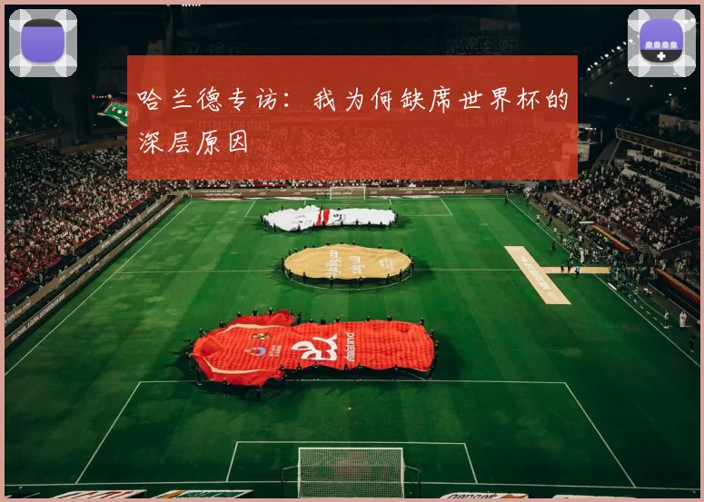 哈兰德专访:我为何缺席世界杯的深层原因