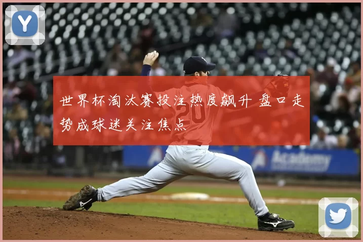 世界杯淘汰赛投注热度飙升 盘口走势成球迷关注焦点
