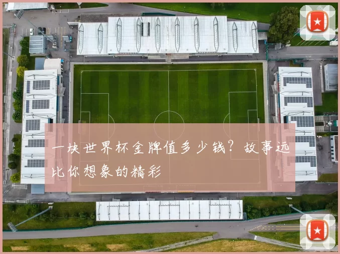 一块世界杯金牌值多少钱？故事远比你想象的精彩