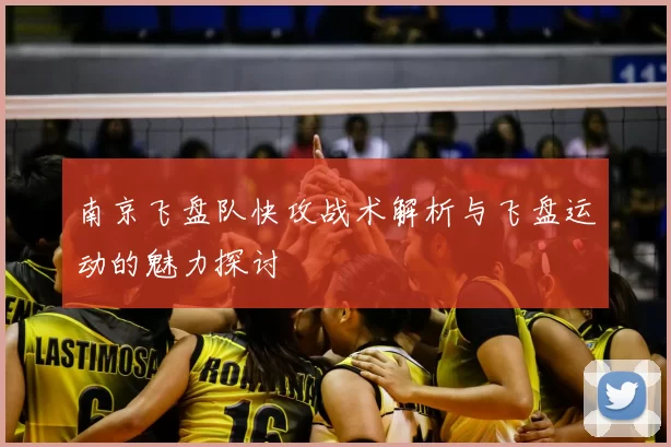 南京飞盘队快攻战术解析与飞盘运动的魅力探讨