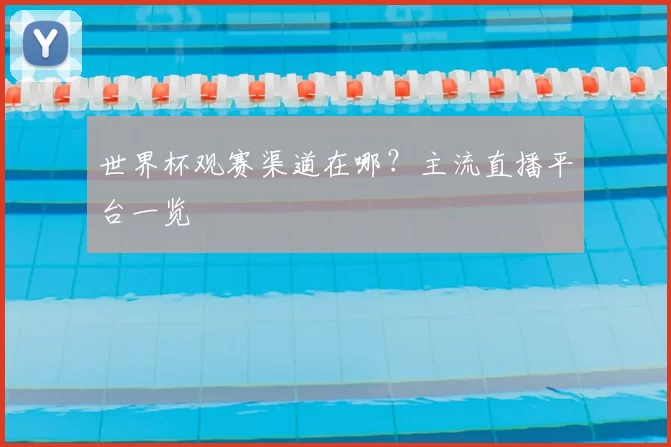 世界杯观赛渠道在哪？主流直播平台一览