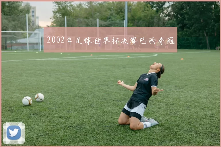 2002年足球世界杯决赛巴西夺冠