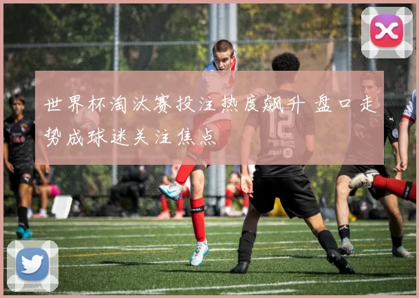 世界杯淘汰赛投注热度飙升 盘口走势成球迷关注焦点